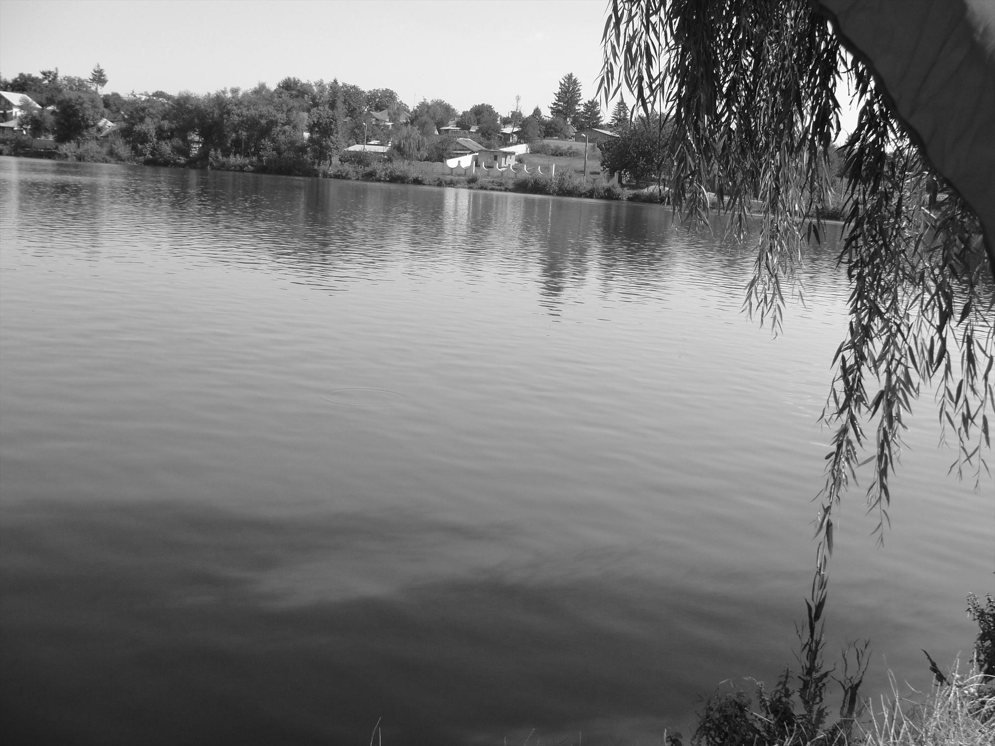 Moara Vlasiei 2 8 - 9 sep. - dsc07368.JPG